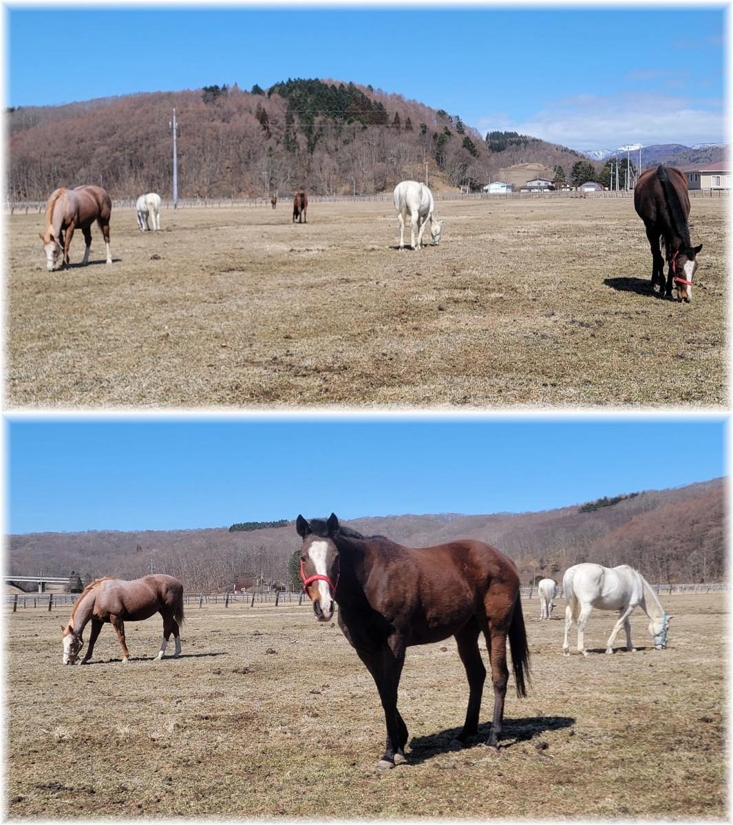 bc9373e16dac44724f8696cd099a59ef-1773631462.jpg bc9373e16dac44724f8696cd099a59ef-1773631462.jpg